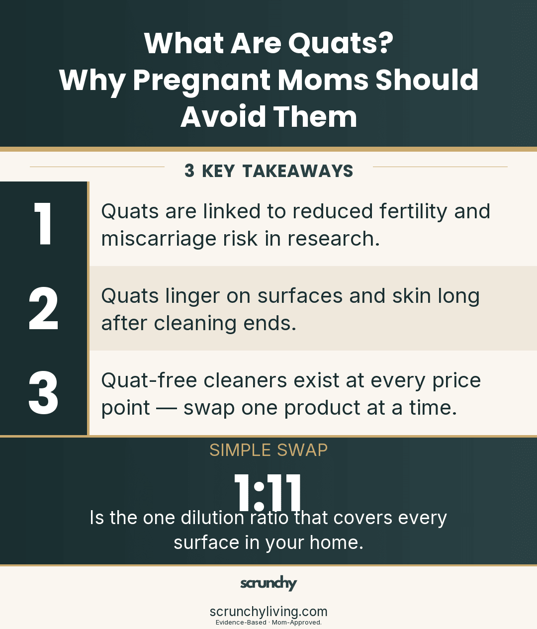 What Are Quats? Why Pregnant Moms Should Avoid Them - Scrunchy Living