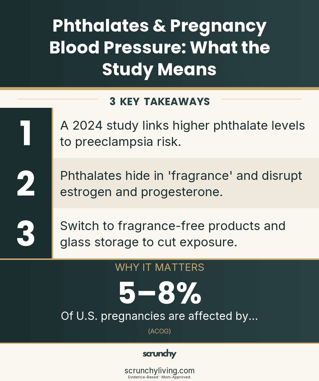 Phthalates & Pregnancy Blood Pressure: What the Study Means - Scrunchy Living
