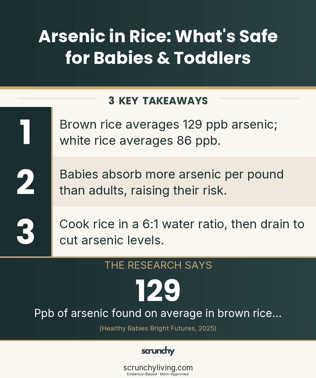 Arsenic in Rice: What's Safe for Babies & Toddlers - Scrunchy Living