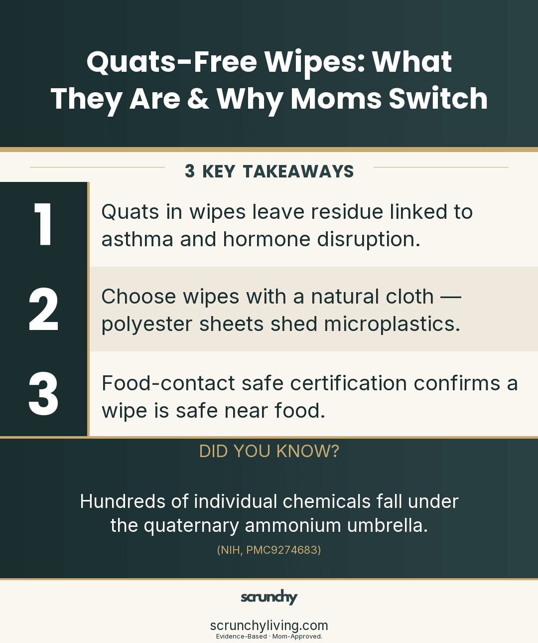 Quats-Free Wipes: What They Are & Why Moms Switch - Scrunchy Living