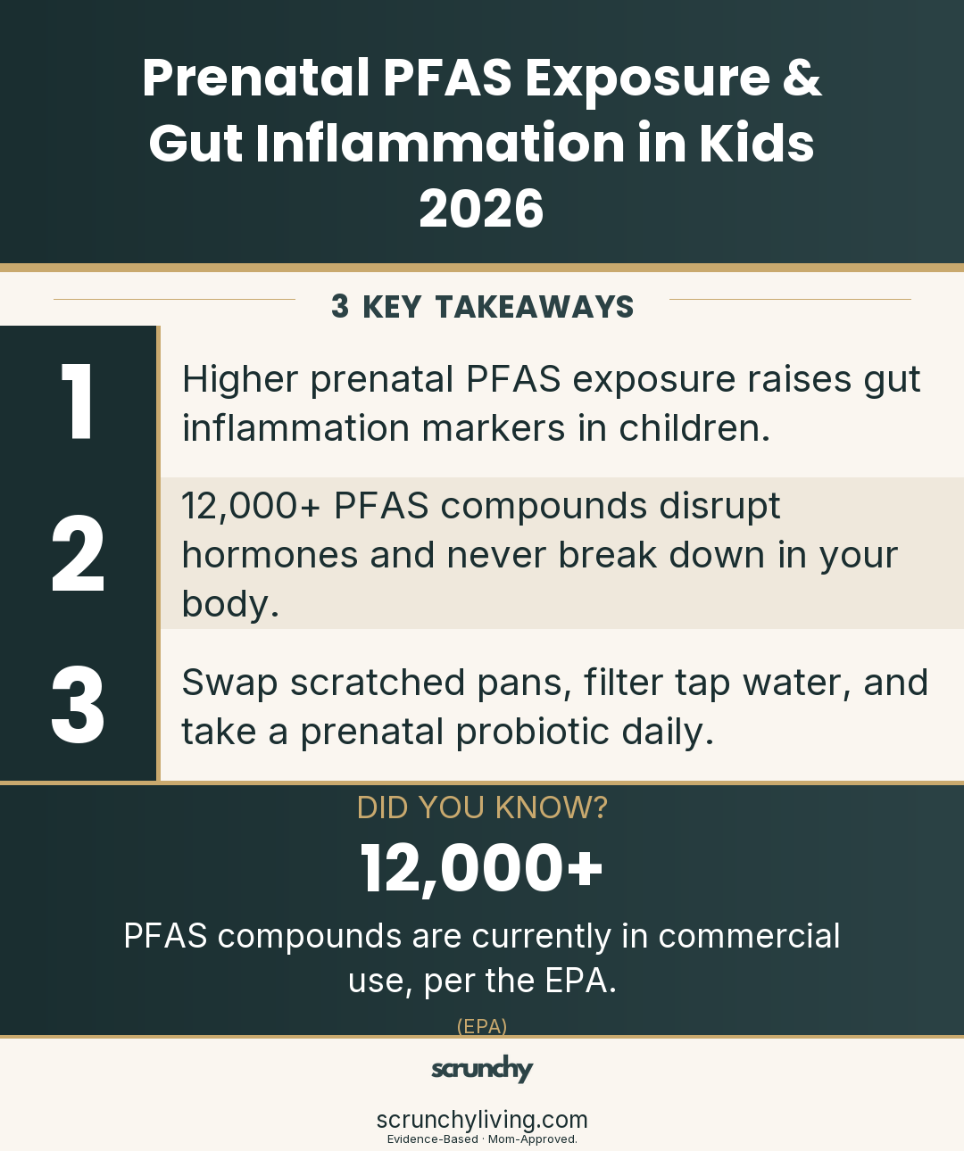 Prenatal PFAS Exposure & Gut Inflammation in Kids 2026 | Prenatal Toxin Exposure | Scrunchy Living
