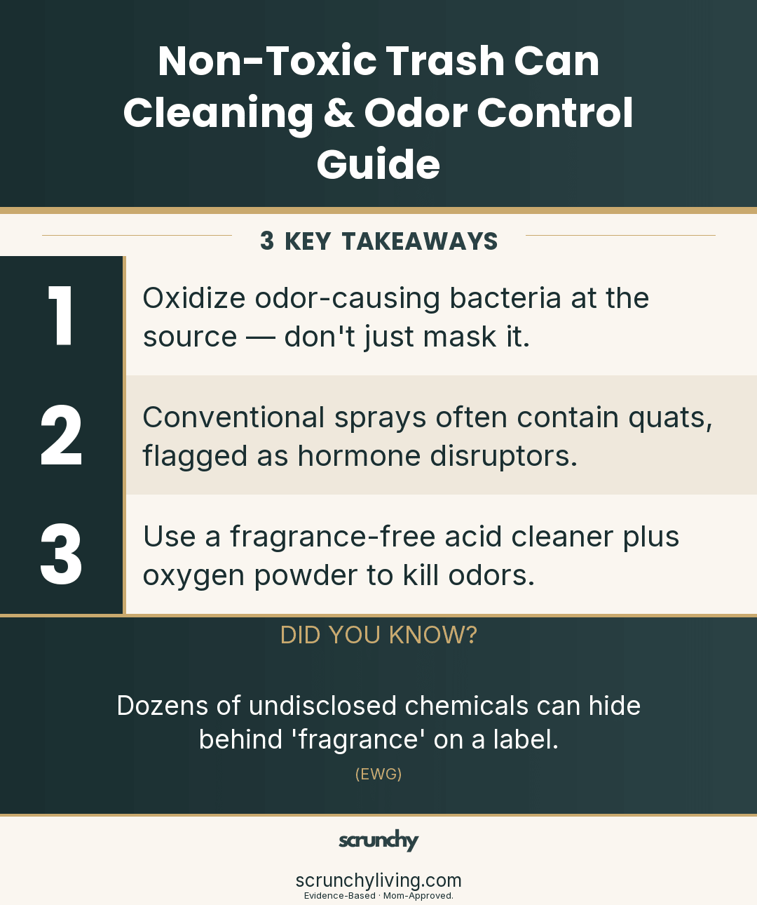 Non-Toxic Trash Can Cleaning & Odor Control Guide - Scrunchy Living
