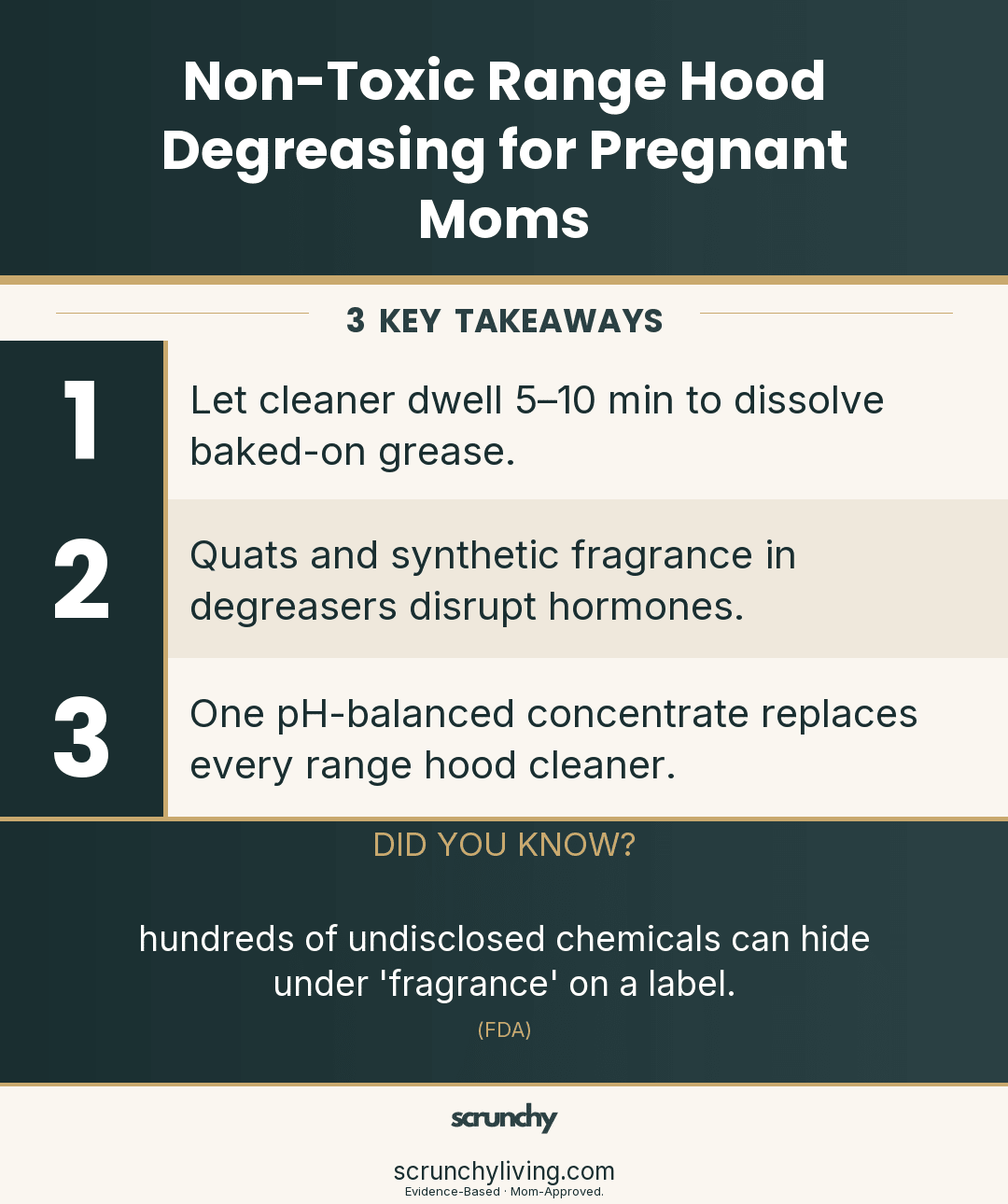 Non-Toxic Range Hood Degreasing for Pregnant Moms - Scrunchy Living
