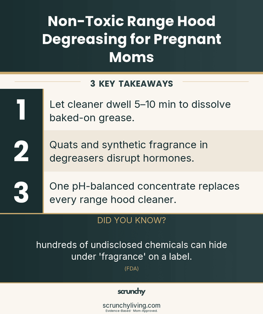 Non-Toxic Range Hood Degreasing for Pregnant Moms - Scrunchy Living