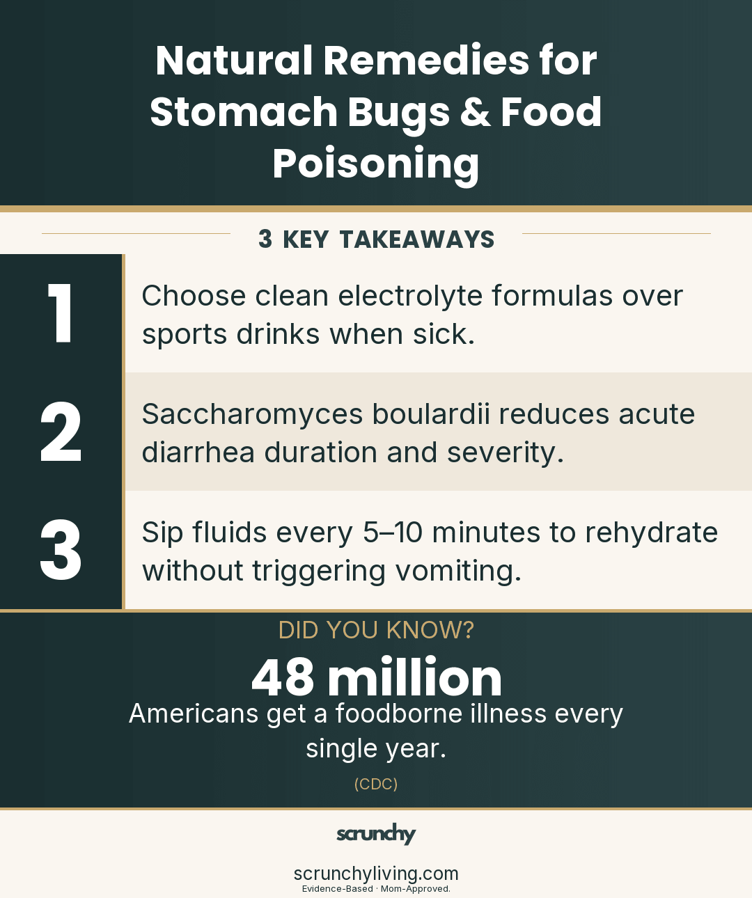 Natural Remedies for Stomach Bugs & Food Poisoning - Scrunchy Living