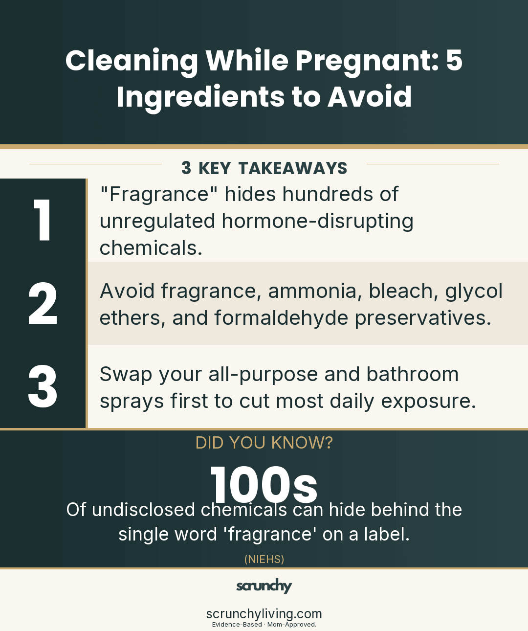 Cleaning While Pregnant: 5 Ingredients to Avoid - Scrunchy Living