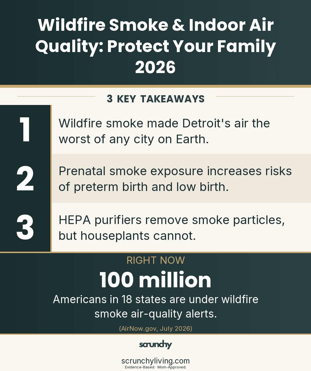 Wildfire Smoke & Indoor Air Quality: Protect Your Family 2026 - Scrunchy Living