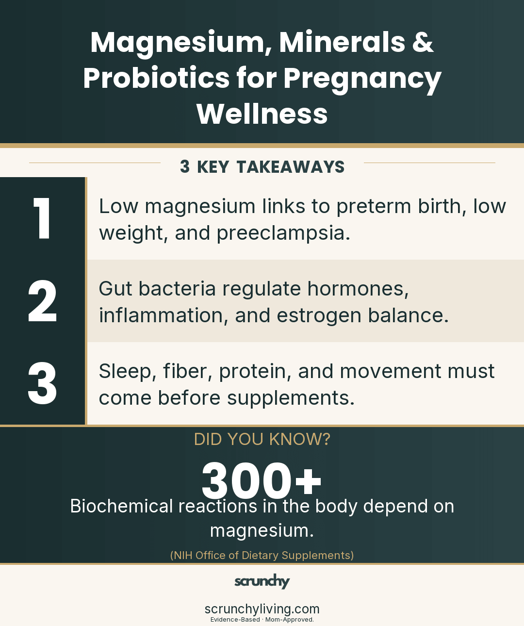 Daily Wellness Habits: Magnesium, Minerals, Probiotics & When They Actually Help - Scrunchy Living
