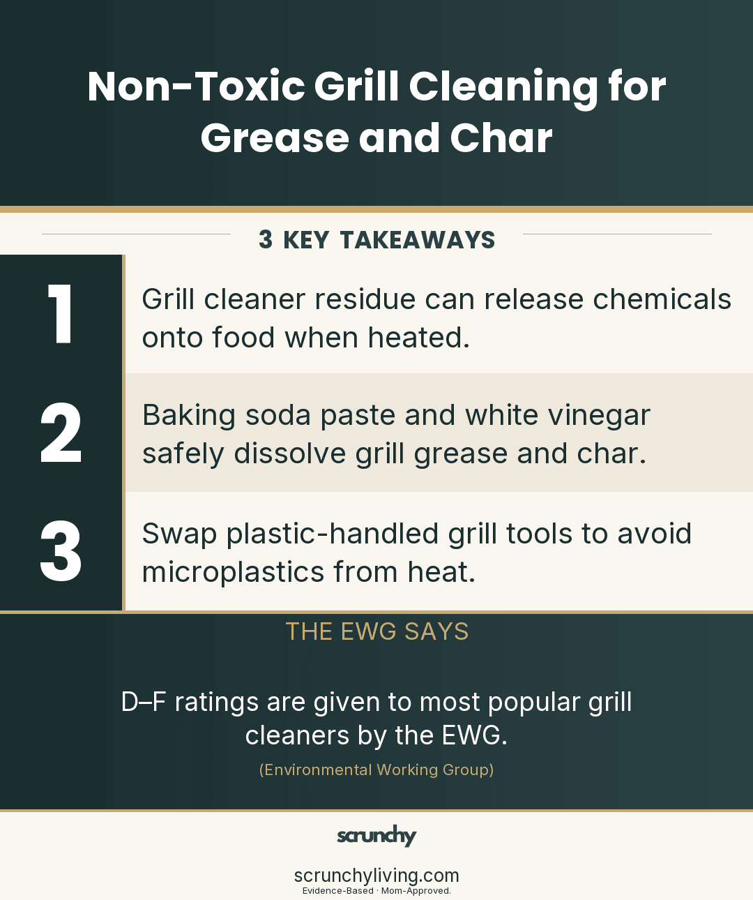 Non-Toxic Grill Cleaning for Grease and Char - Scrunchy Living