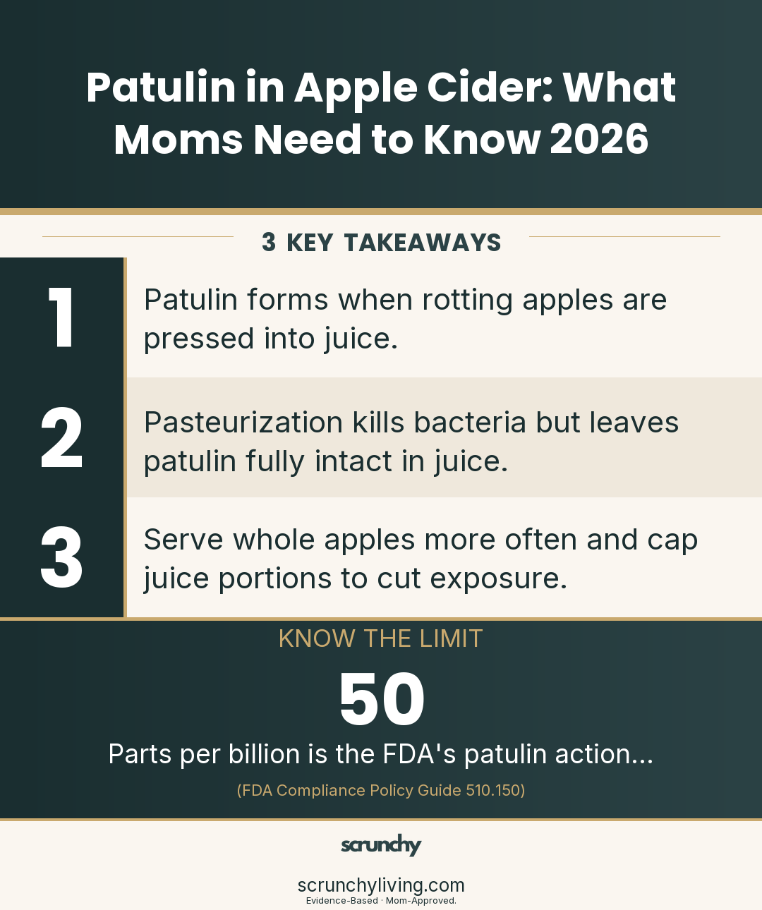 Patulin in Apple Cider: What Moms Need to Know 2026 | Non-Toxic Living | Scrunchy Living