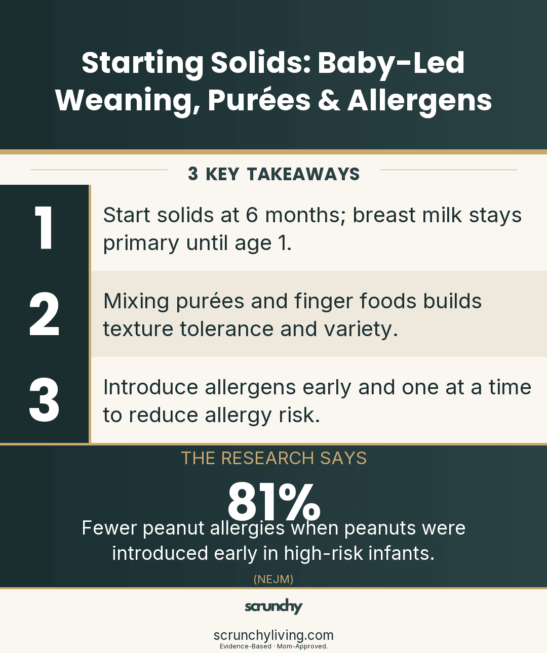 Starting Solids: A Scrunchy Guide to Baby-Led Weaning, Purées & Allergens - Scrunchy Living