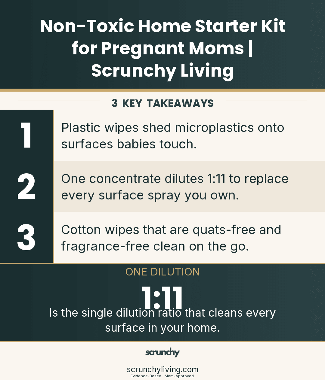 Non-Toxic Home Starter Kit for Pregnant Moms | Scrunchy Living - Scrunchy Living