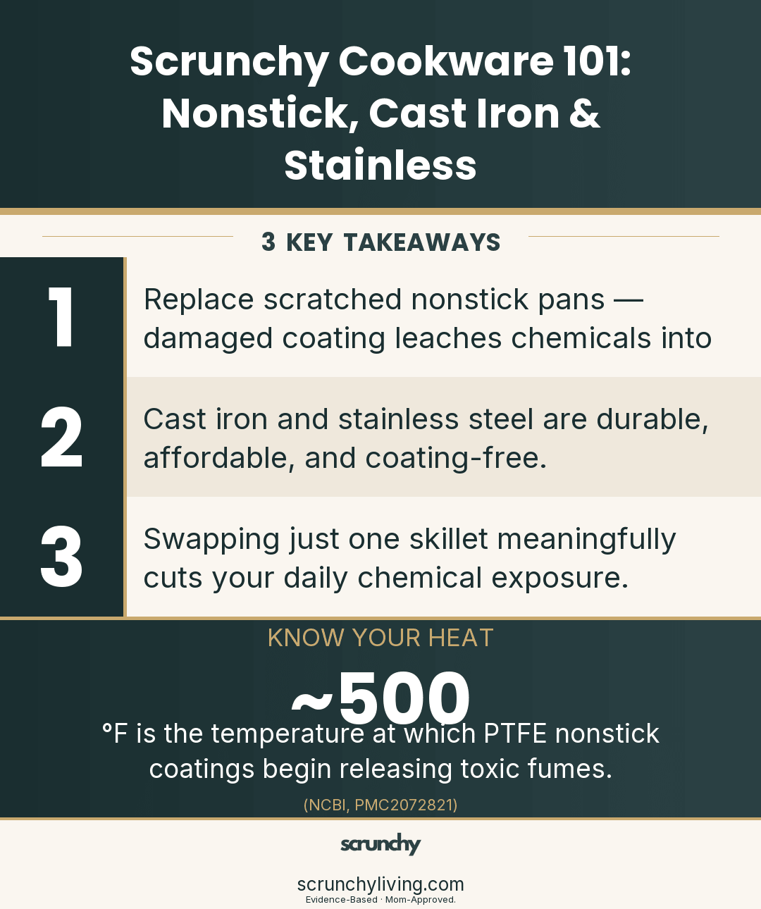Scrunchy Cookware 101: Nonstick, Cast Iron & Stainless - Scrunchy Living