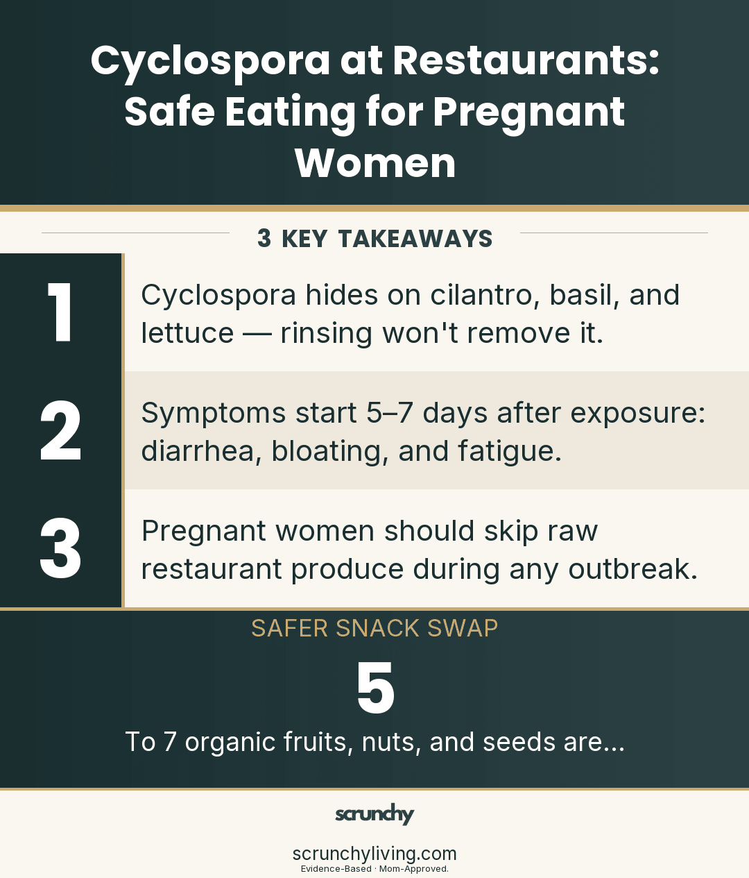 Cyclospora at Restaurants: Safe Eating for Pregnant Women - Scrunchy Living