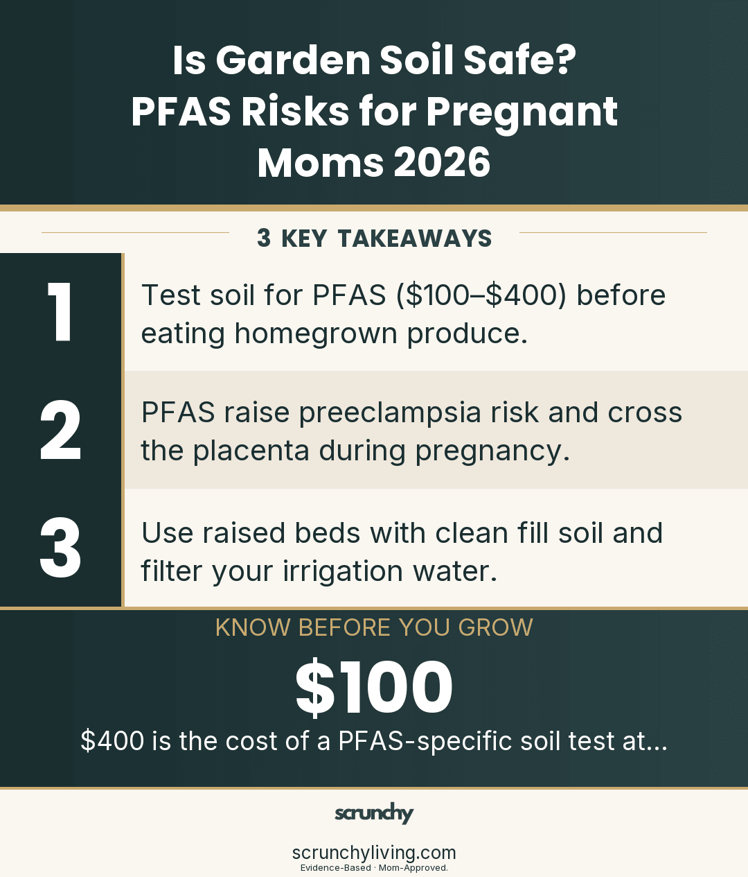 Is Garden Soil Safe? PFAS Risks for Pregnant Moms 2026 - Scrunchy Living