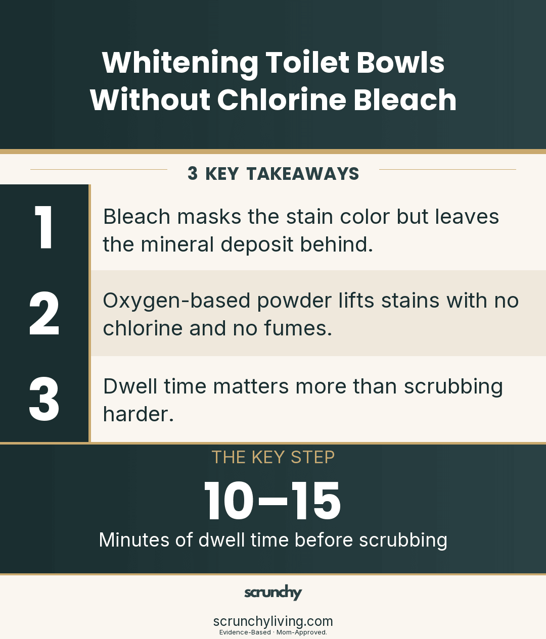 Whitening Toilet Bowls Without Chlorine Bleach Safely - Scrunchy Living