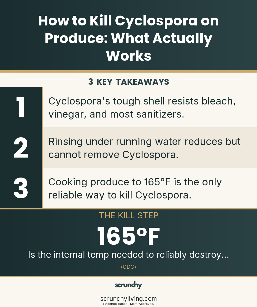 How to Kill Cyclospora on Produce: What Actually Works | Food Safety | Scrunchy Living