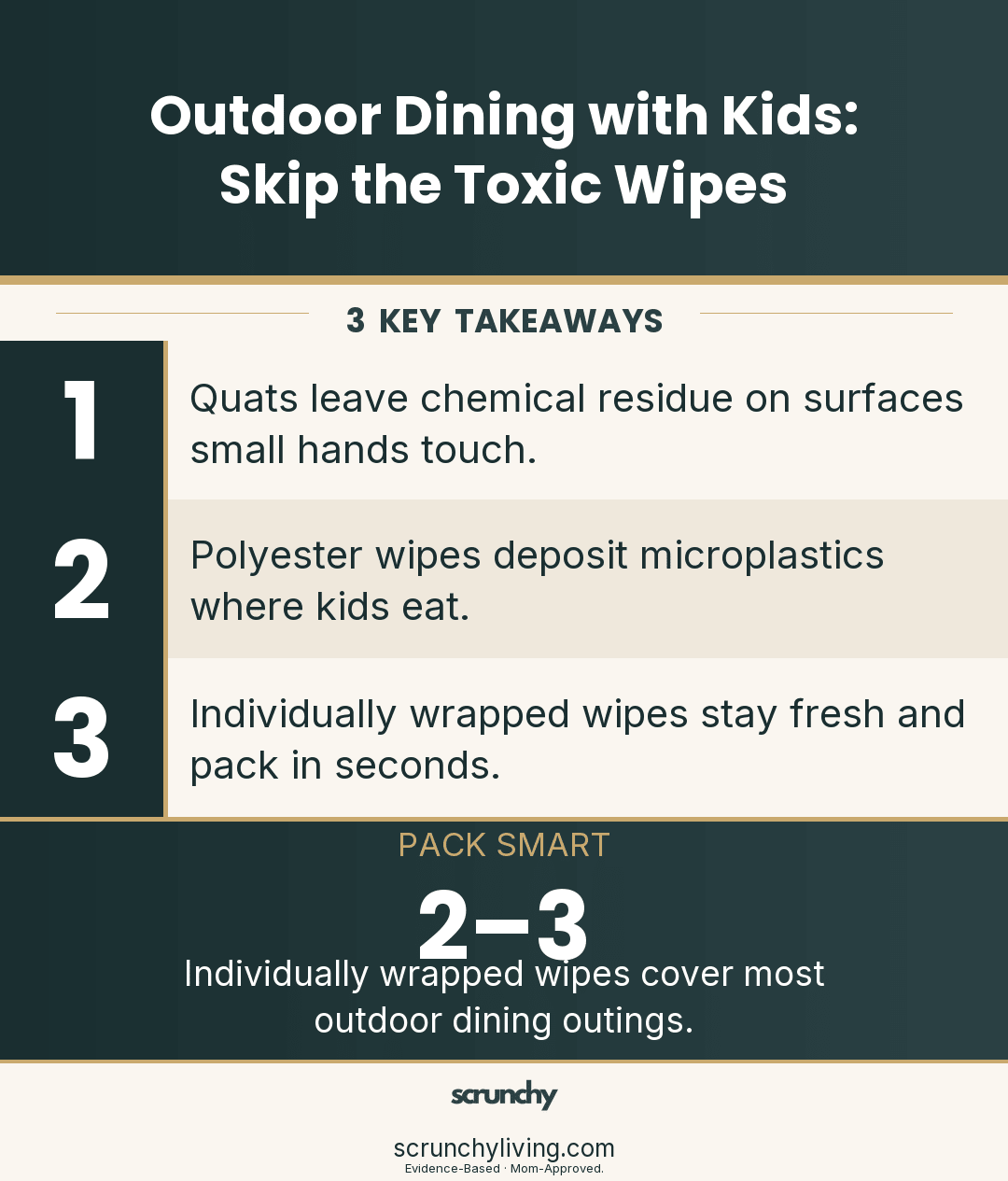 Outdoor Dining with Kids: Skip the Toxic Wipes - Scrunchy Living