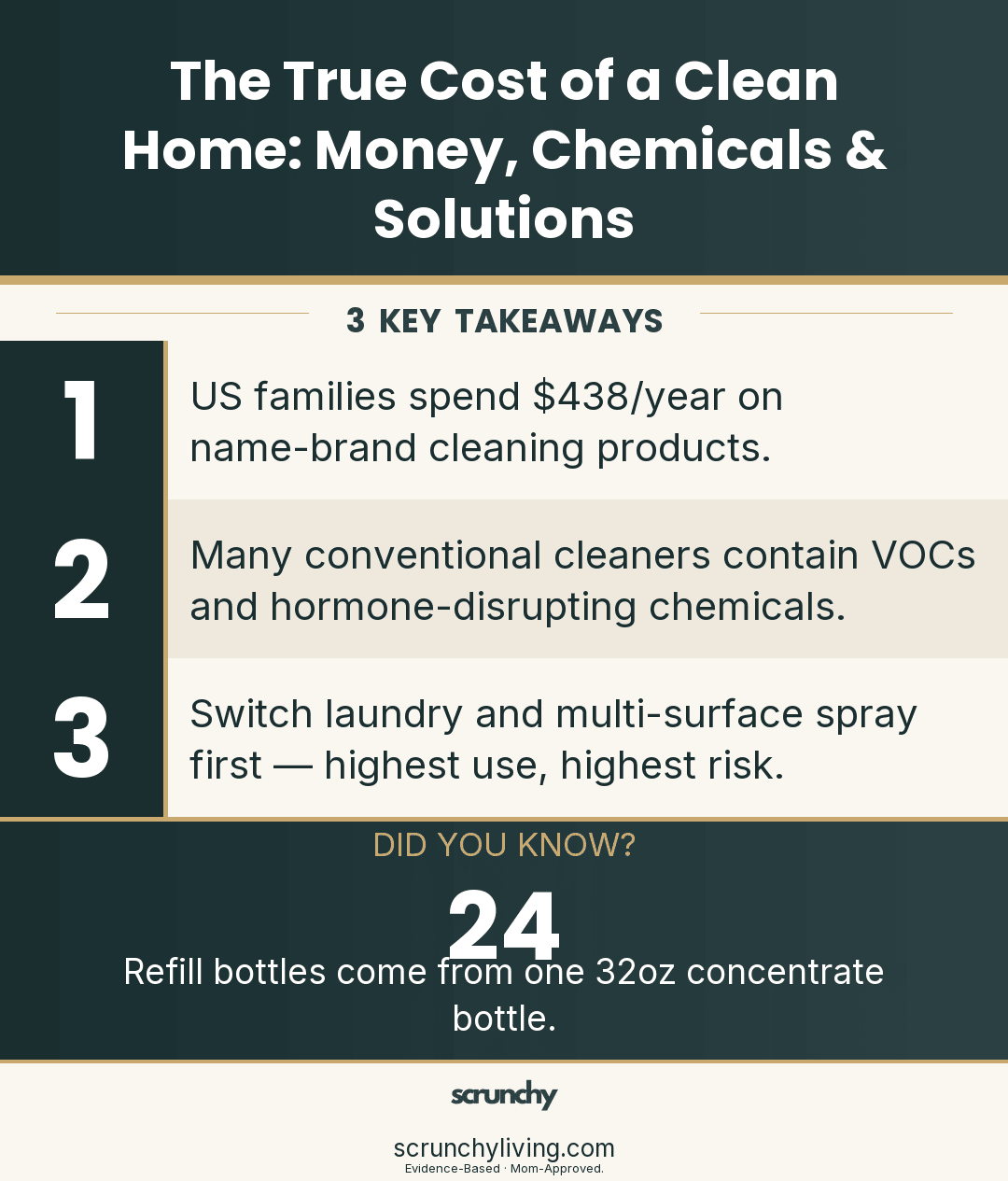 The Real Cost of Cleaning Your Home: Dollars, Chemicals & What to Do - Scrunchy Living