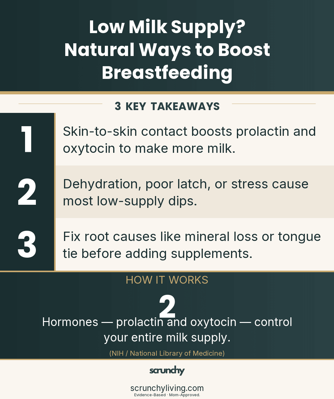 Low Milk Supply? Natural Ways to Boost Breastfeeding - Scrunchy Living
