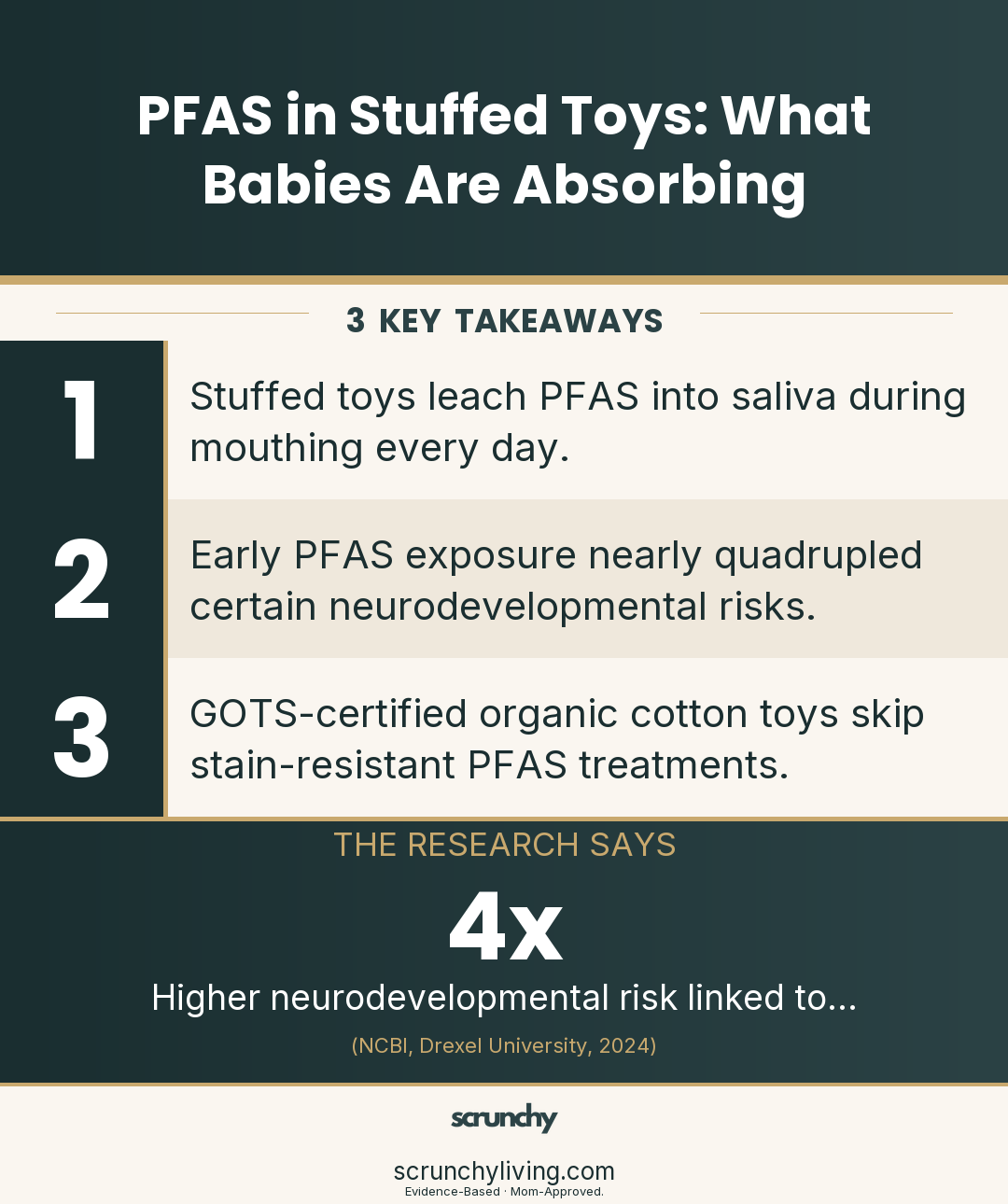 PFAS in Stuffed Toys: What Babies Are Absorbing | Pfas | Scrunchy Living
