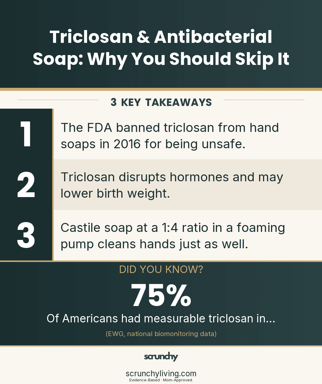 Triclosan Was Banned — So Why Is It Still in Your Home? - Scrunchy Living