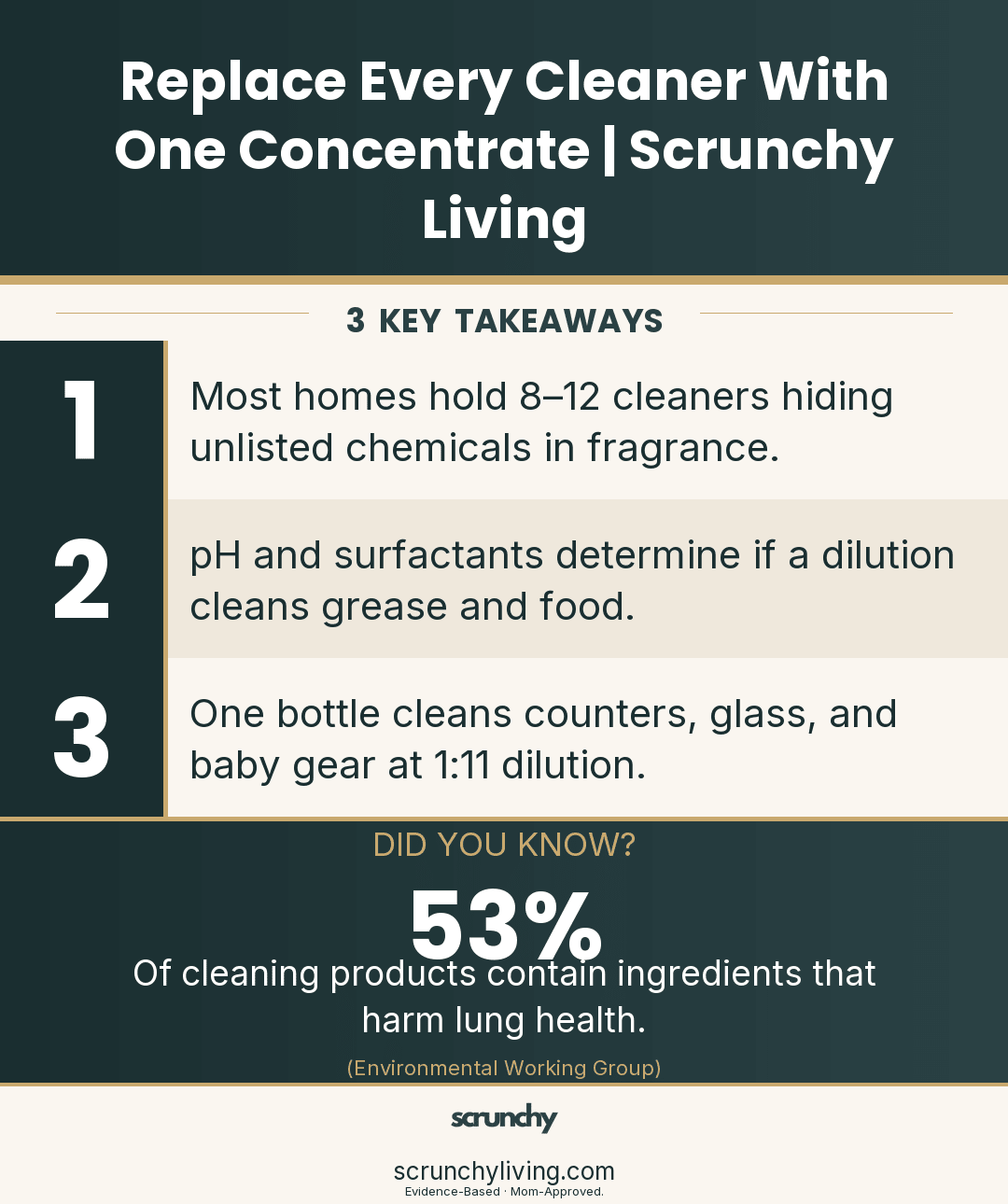 Scrunchy Mom's Guide: Replace All Cleaners With One Concentrate - Scrunchy Living
