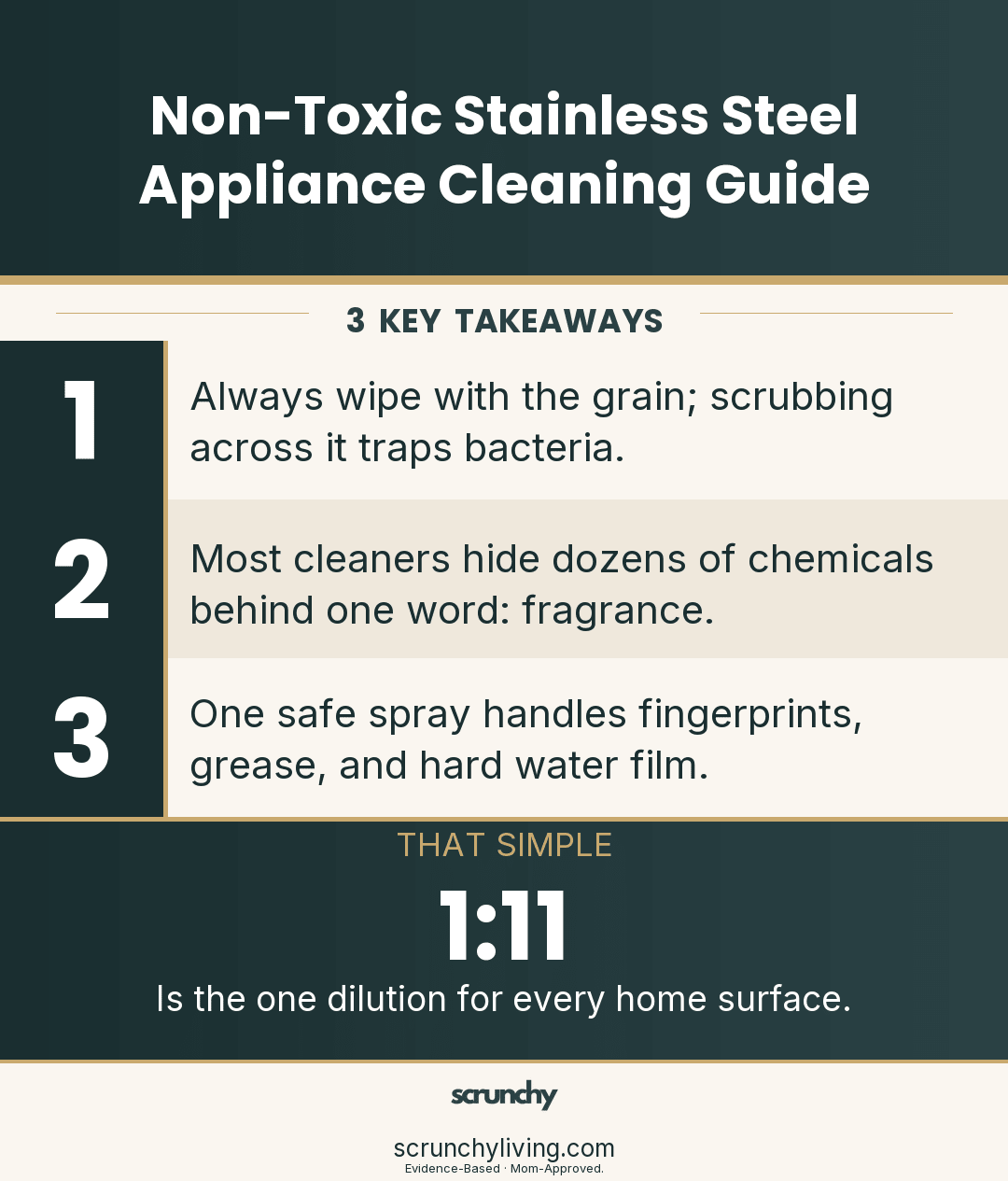 Non-Toxic Stainless Steel Appliance Cleaning Guide - Scrunchy Living