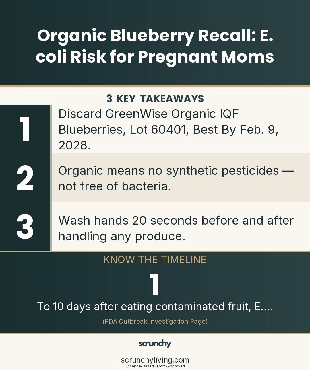 Organic Blueberry Recall: E. coli Risk for Pregnant Moms - Scrunchy Living
